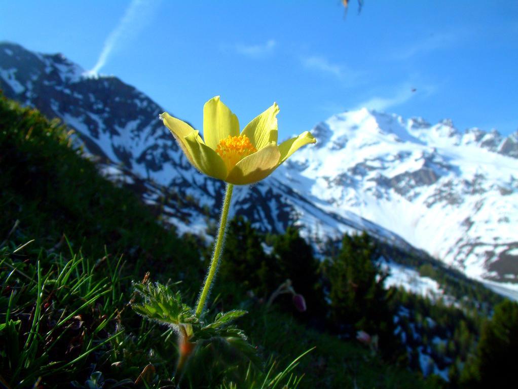 Bauernhof Raethia